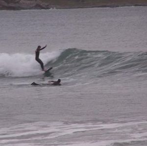 Meet your Posher, Ed